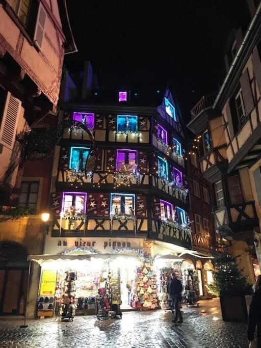 Colmar,Appart Chaleureux 2 Pas Centre Avec Jardin Exteriör bild