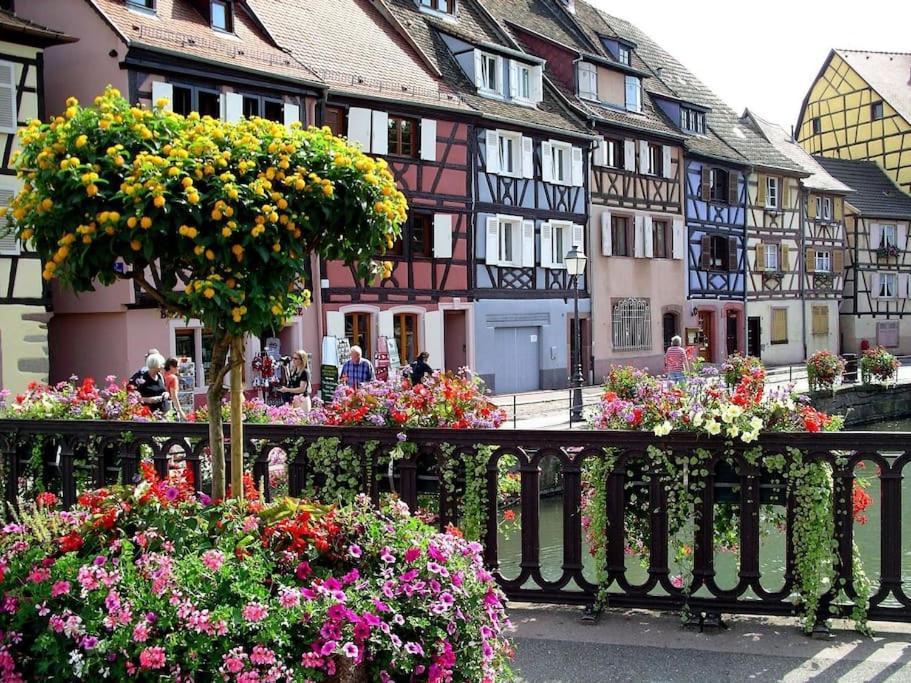 Colmar,Appart Chaleureux 2 Pas Centre Avec Jardin Exteriör bild